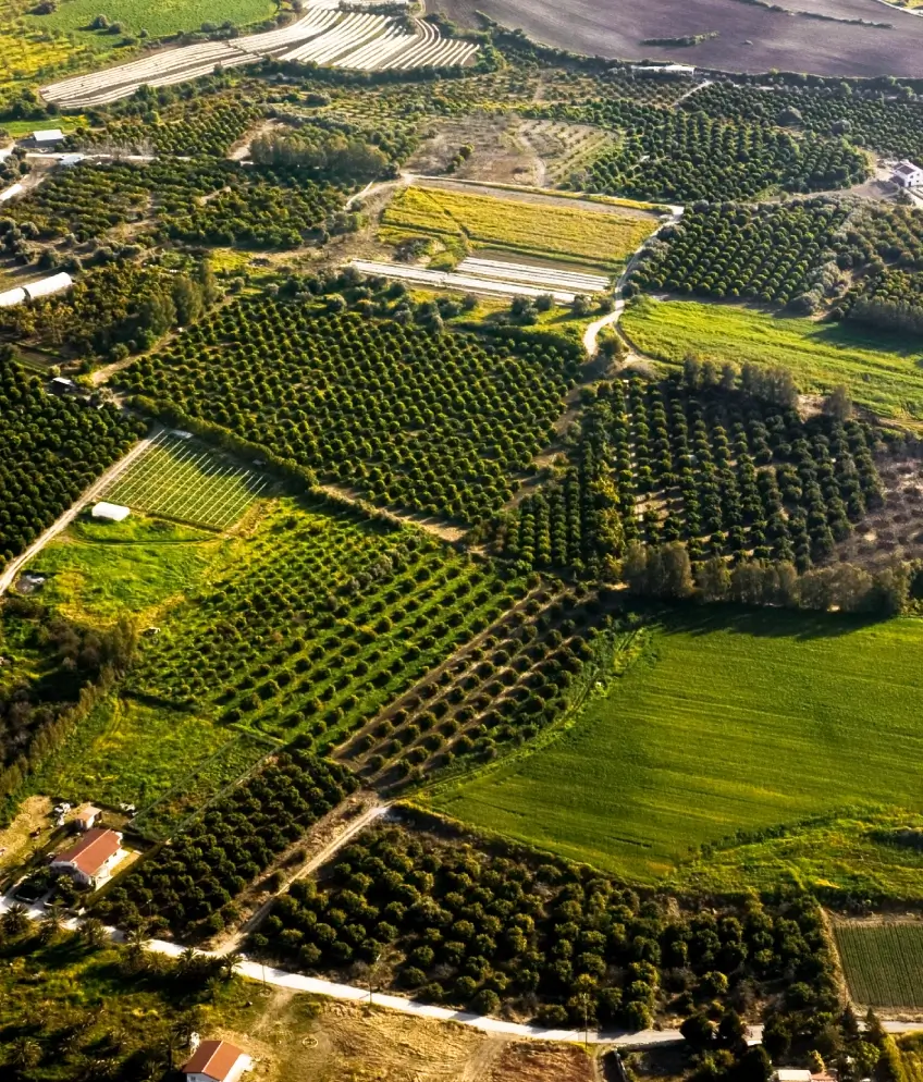 Milas Peyzaj – Milas’ın Doğayla Uyumlu Yaşam Alanı Uzmanı